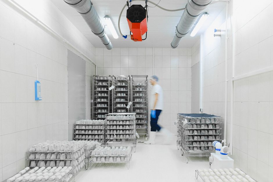Trabalhador em câmara fria com prateleiras de produtos perecíveis